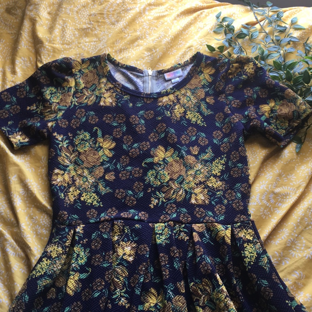 Lularoe Amelia